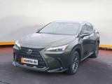 Lexus NX 450 Executive *Interieur-Paket*HUD* /FLA/LM/ - Lexus NX-Serie in Berlin