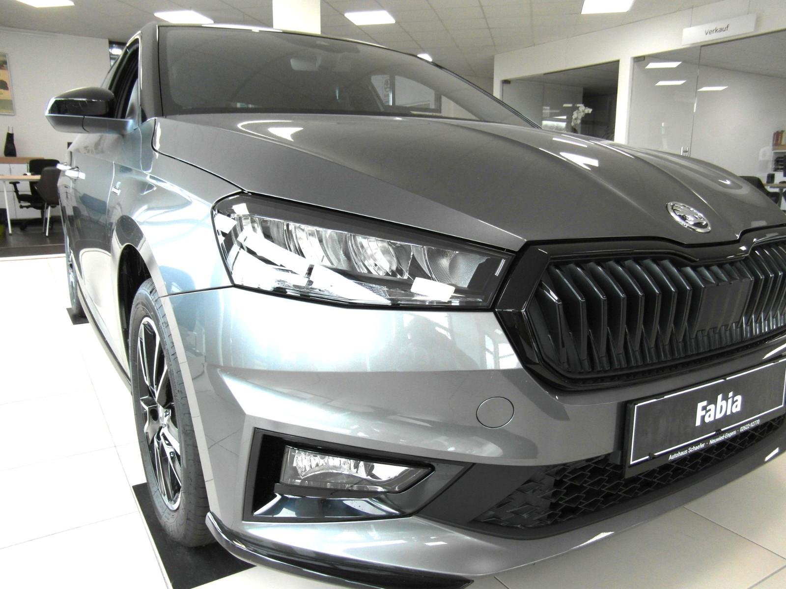 Skoda Fabia Monte Carlo,PDC,RFK,5.J.Garantie,DSG,Alu