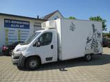 Fiat Ducato 2.3 JTD Tiefkühler - Offers matching your search criteria