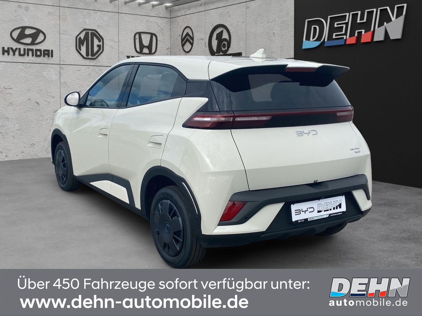 BYD DOLPHIN SURF