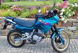 Honda NX 650 Dominator - top Liebhaberstück - HONDA NX 650 DOMINATOR