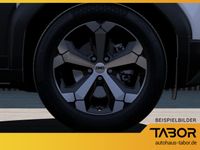 Dacia Duster - Vorschau Bild 6