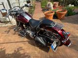 Harley-Davidson Wunderschöne Softail Deluxe FLSTN - HARLEY-DAVIDSON SOFTAIL DELUXE