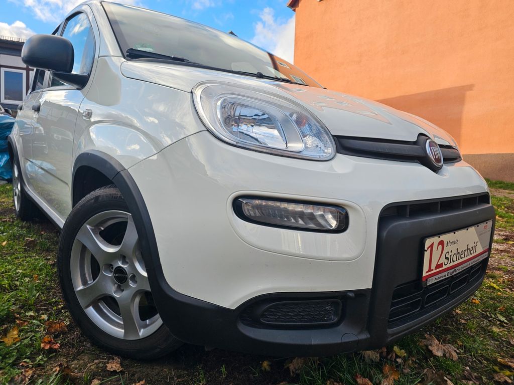 Image of Fiat Panda