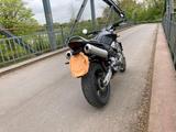 Honda Hornet - HONDA HORNET
