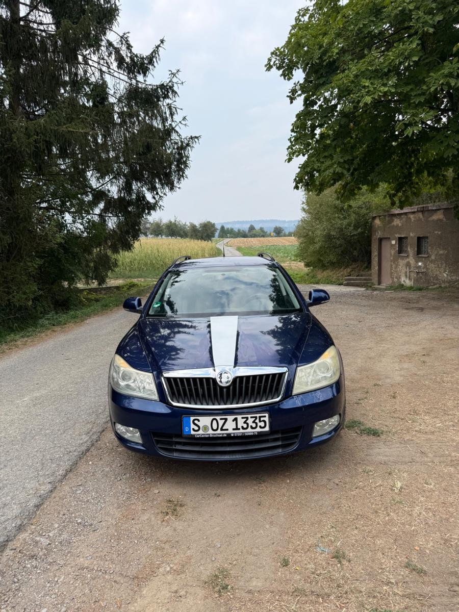 Skoda Octavia 2009 — вигляд ззаду