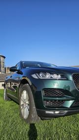 Jaguar F-Pace 25t AWD Automatik Prestige - Jaguar: Grün