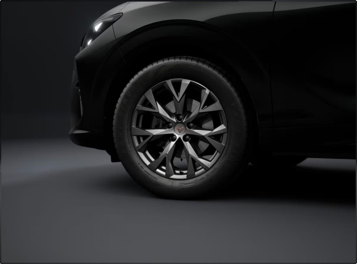Cupra Terramar - Bild 4
