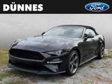 Ford Mustang CALIFORNIA SPECIAL MODELL 5.0 Ti-VCT V8  - Ford mit Benzin-Antrieb: Cabrio, Model T