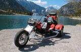 Andere WS Trike  - BENZIN TRIKE