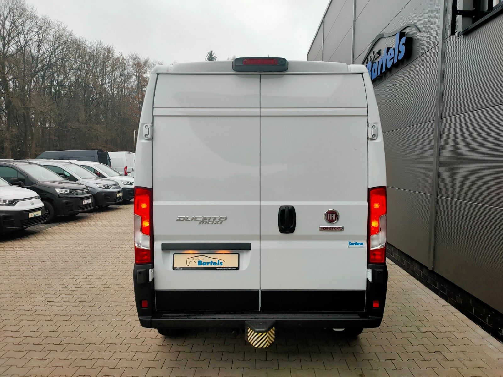 Fahrzeugabbildung Fiat Ducato Maxi Serie 9 L4H2 35 140 MJT AT