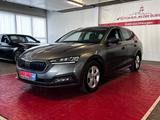 Skoda Octavia Combi Ambition//DAB//Garantie - Skoda Octavia: Allradantrieb