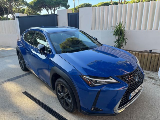 LEXUS UX