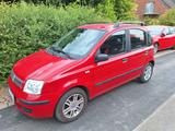 Fiat Panda 1.2 Emotion von 2009 (Mod. 169) - Fiat Panda Gebrauchtwagen in Düsseldorf