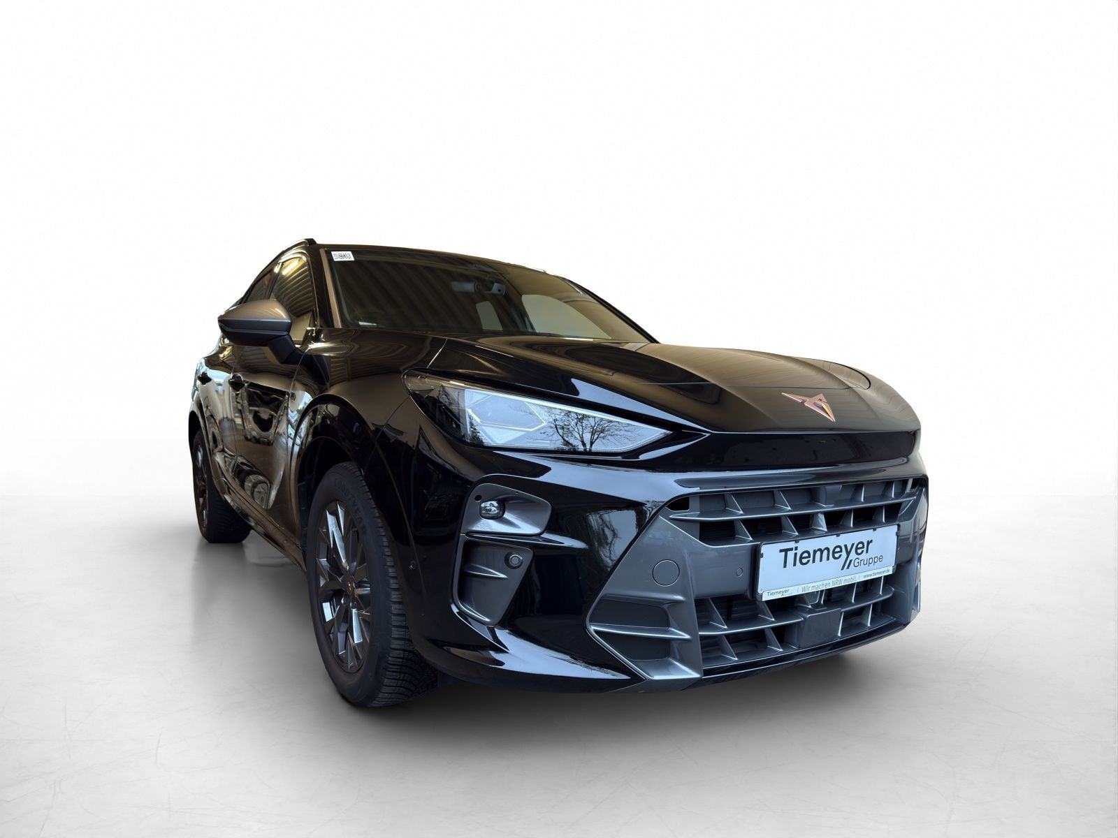 Cupra Terramar - Bild 3