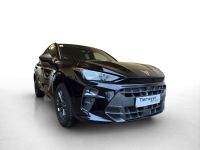 Cupra Terramar - Vorschau Bild 3