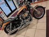 Harley-Davidson Sportster XL 1200 Low  105th Anni  orig. 1750Km