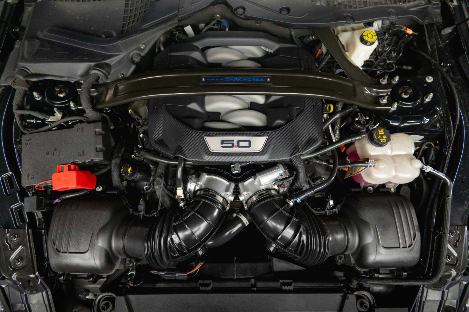 Fahrzeugabbildung Ford Mustang 5.0 Ti-VCT V8 Dark Horse TREMEC 6-Gang