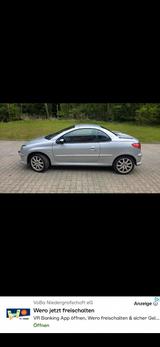 Peugeot 206 CC 135 - - Peugeot 206: Rot, Leder
