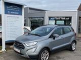 Ford EcoSport Titanium/Navi/Leder/Tempomat/AHK/Alu