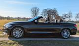 BMW 440i Cabrio Luxury Line A Luxury Line - BMW 440 Gebrauchtwagen
