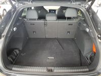 Cupra Terramar - Vorschau Bild 11