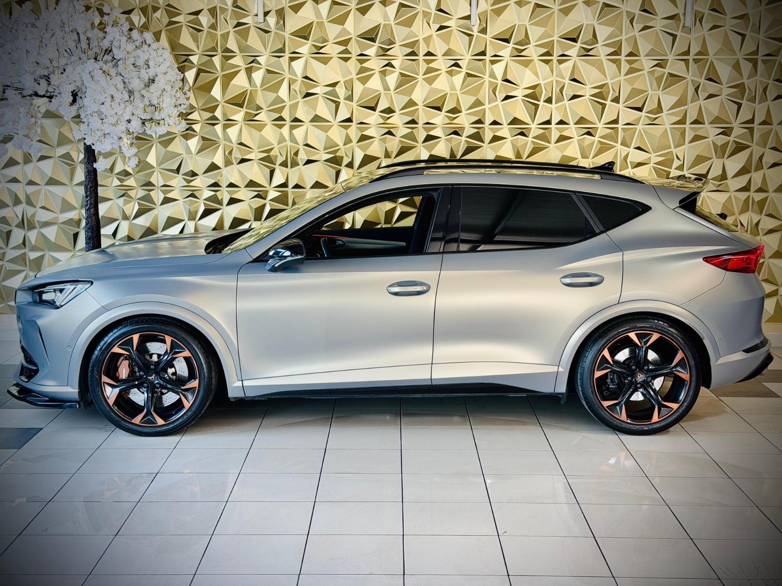 Cupra Formentor VZ 4Drive DSG BEATS MEMORY BREMBO, миниатюра 21