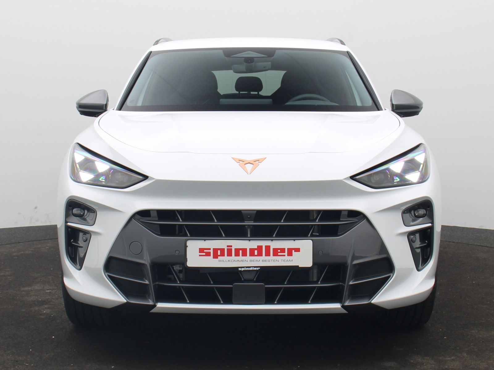 Cupra Terramar - Bild 2