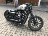 Harley-Davidson Sportster Iron 883  - HARLEY-DAVIDSON 883 SPORTSTER