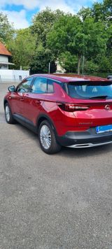 Opel Grandland (X) 1.5 Diesel 96kW Opel 2020 Auto... - Opel Grandland (X) in Bremen