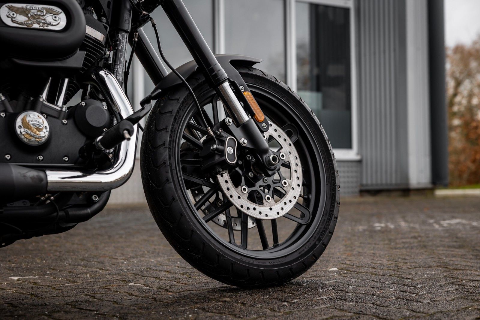 Fahrzeugabbildung Harley-Davidson XL1200CX Sportster Roadster - PENZL V2 -