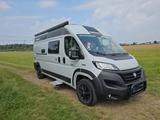 Chausson V 594 Road Line VIP - Chausson Diesel Kastenwagen