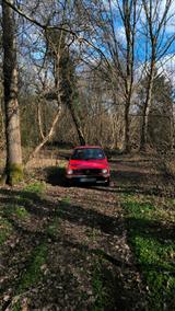 Volkswagen Polo 2 86C Fox Baujahr 1990 Umfangreiche R... - Volkswagen Polo: 86c 2f