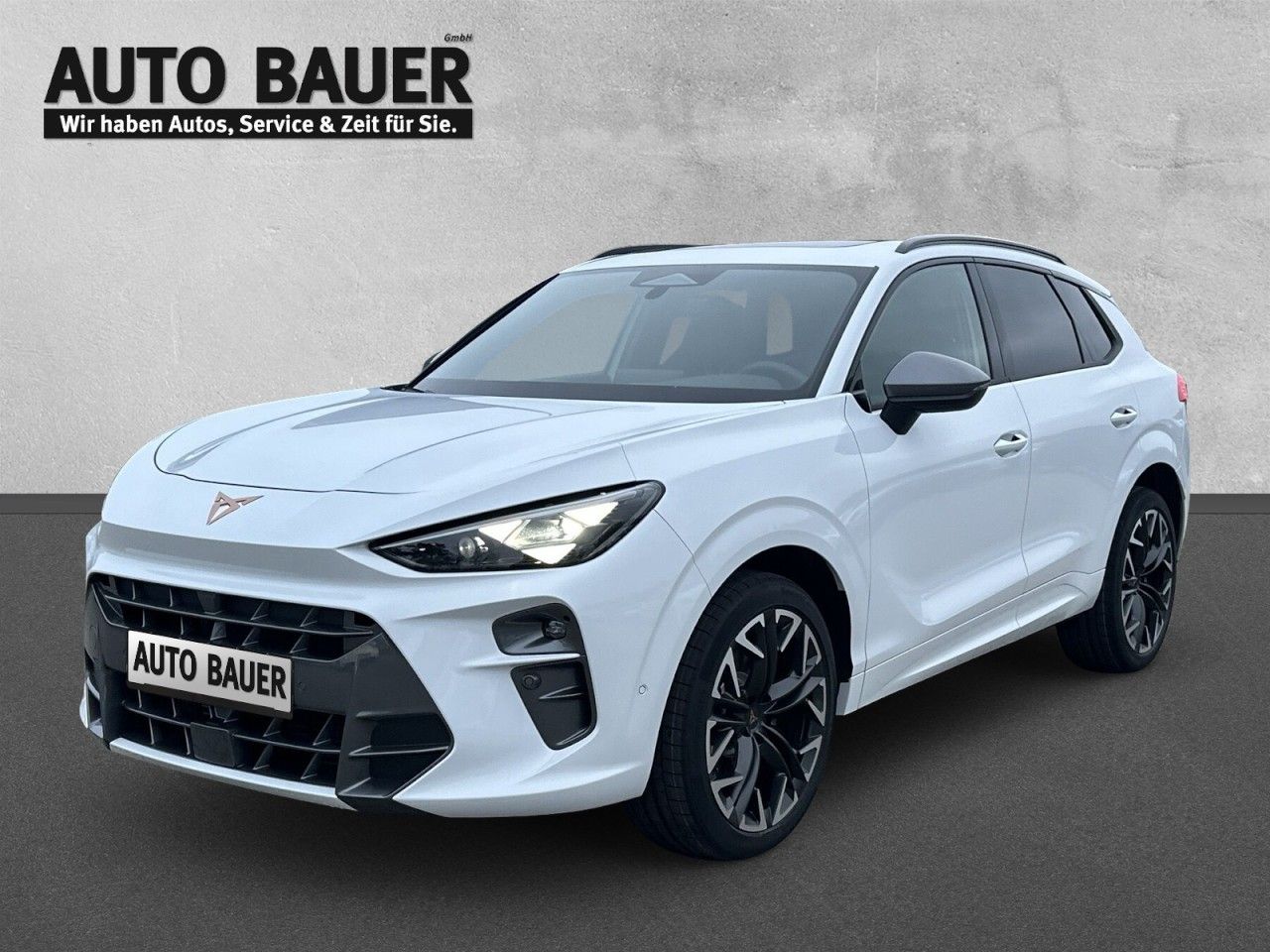 Fahrzeugabbildung CUPRA Terramar VZ 2.0 TSI 265 PS 4Drive - mit KI generiert/bearbeitet