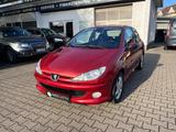 Peugeot 206 1.6 Grand Filou Cool - Peugeot 206: Rot