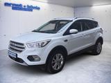Ford Kuga 1.5 EcoBoost 2x4 Titanium Xenon ACC PDC - Ford Kuga Gebrauchtwagen in Freiburg