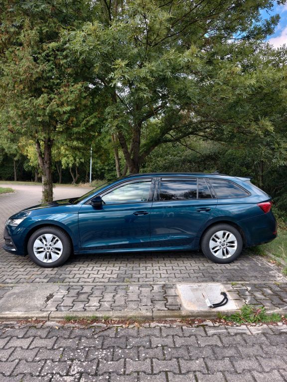 Image of Skoda Octavia