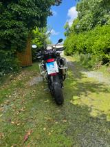 Triumph Tiger 900 GT Low - TRIUMPH TIGER 900