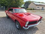 Pontiac LE MANS GTO  - Pontiac aus 1965