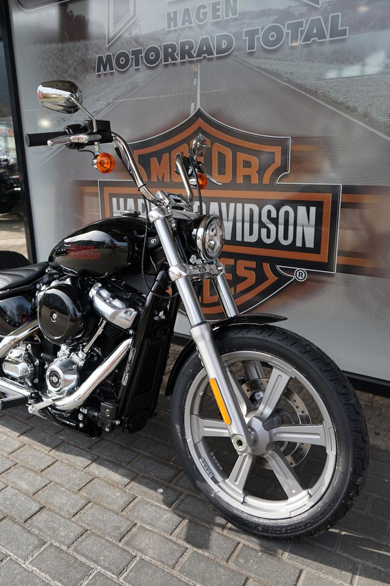 Fahrzeugabbildung Harley-Davidson Softail Standard 2024 mit TZ