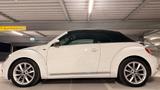 Volkswagen Beetle 1.2 TSI BMT ALLSTAR Cabriolet ALLSTAR - Volkswagen Beetle: Allstar