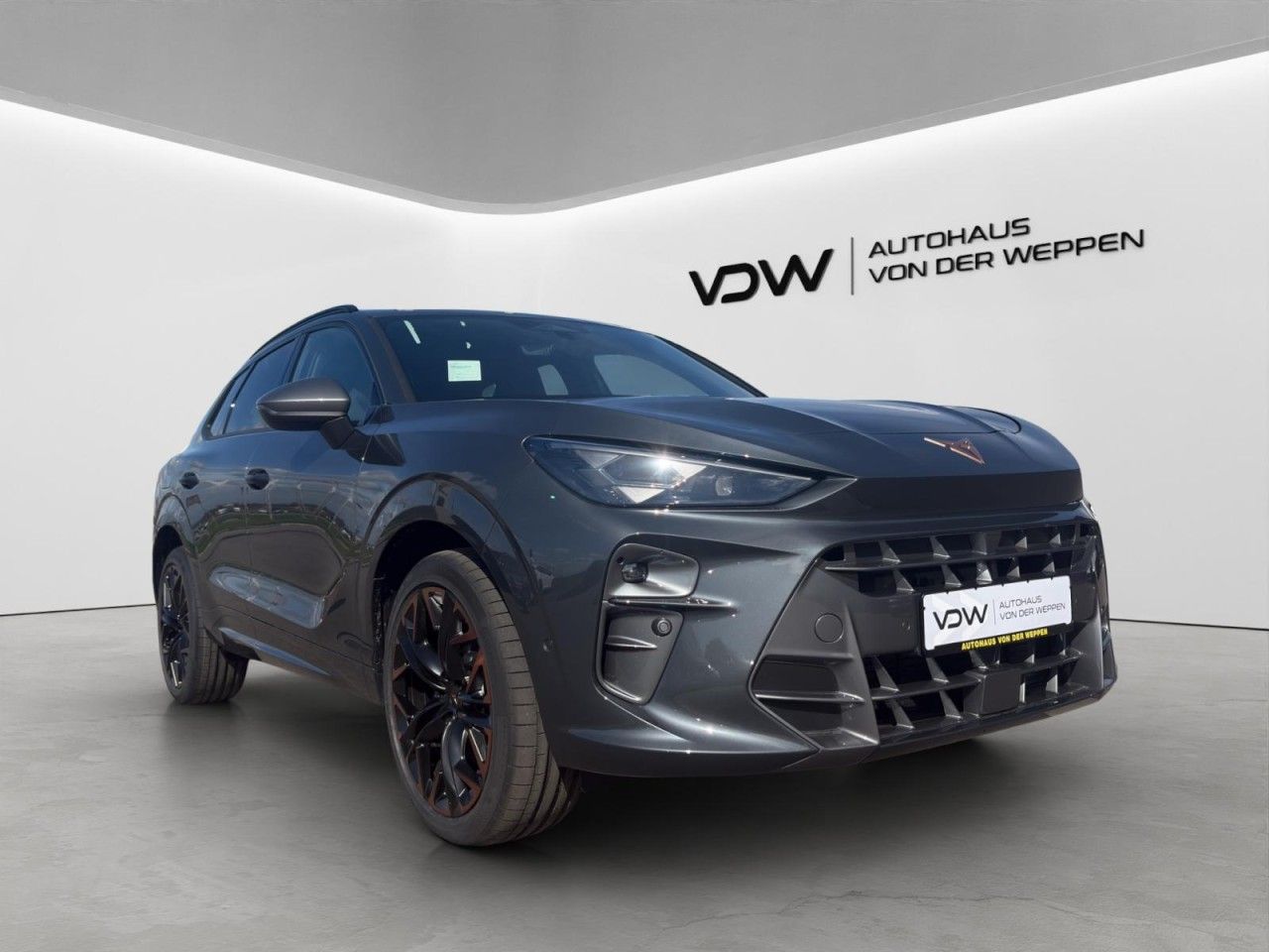 Cupra Terramar - Bild 10