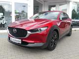 Mazda CX-30 Homura LED ACC KAM HUD DAB Carplay 1e Hand - gebrauchte Mazda CX-3 aus dem Jahr 2022