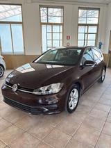 Volkswagen Golf 1.6 TDI 90 CV 5p. Trendline FRIZ - Volkswagen Golf mit Diesel-Antrieb: Geländewagen