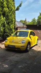Volkswagen New Beetle 1.6 Standard - Volkswagen New Beetle Standard mit Benzin-Antrieb