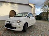 Fiat 500 Ellenator Fahren ab 16 - Fiat 500e aus 2020