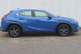 Lexus UX 250h Launch Edition - Lexus UX 250h Gebrauchtwagen