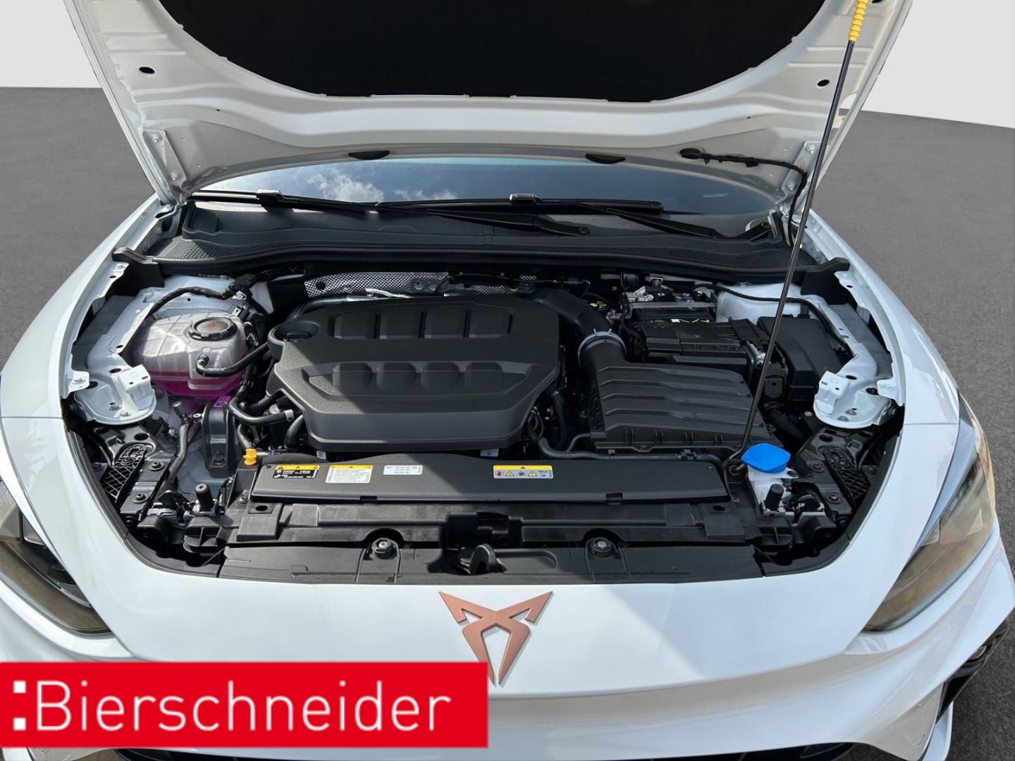 Cupra Leon - Bild 26