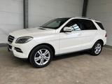 Mercedes-Benz ML 350 CDI BlueTec + 2.Hand + St'hzg + AHK - Mercedes-Benz ML 350: Bluetec