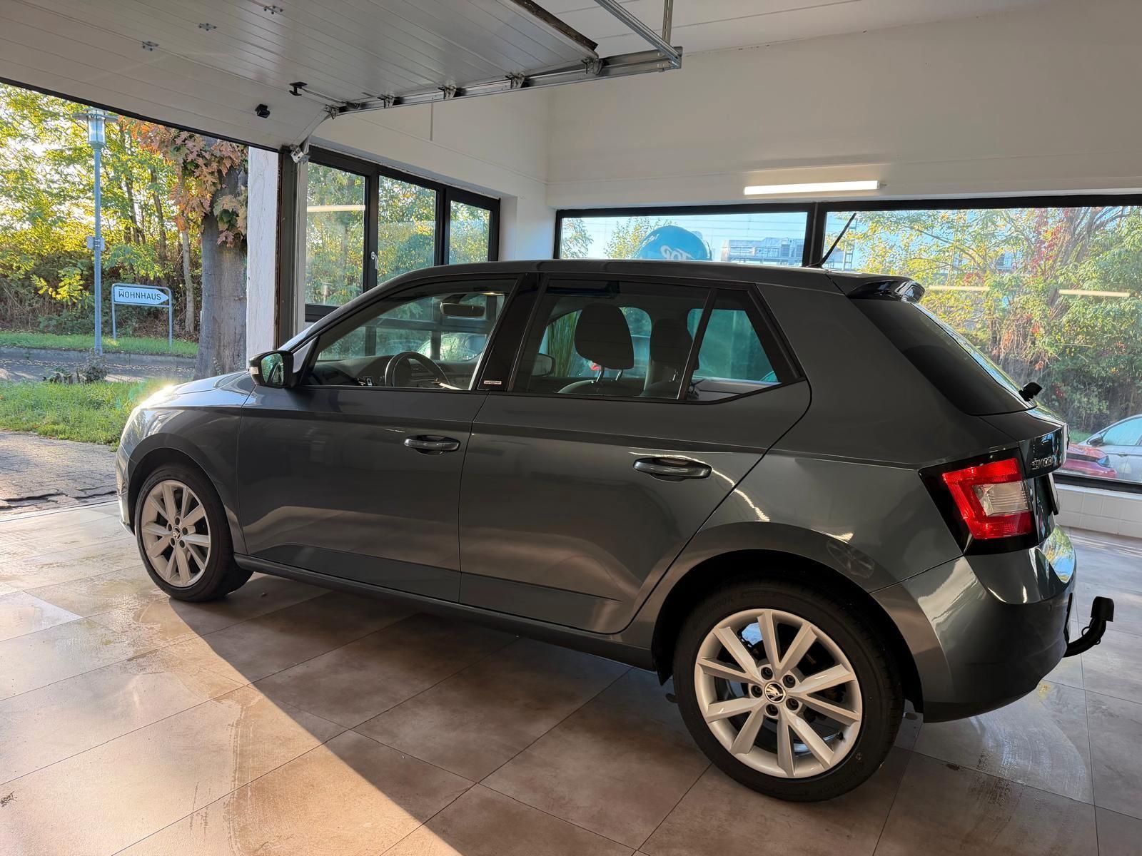 Skoda Fabia Joy*Autom.*Tempo*NAVI*8-fach bereift